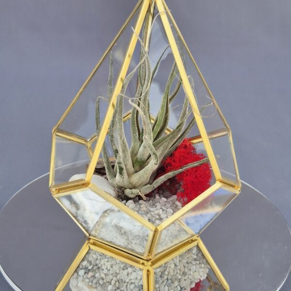Terrario Geométrico gold 001