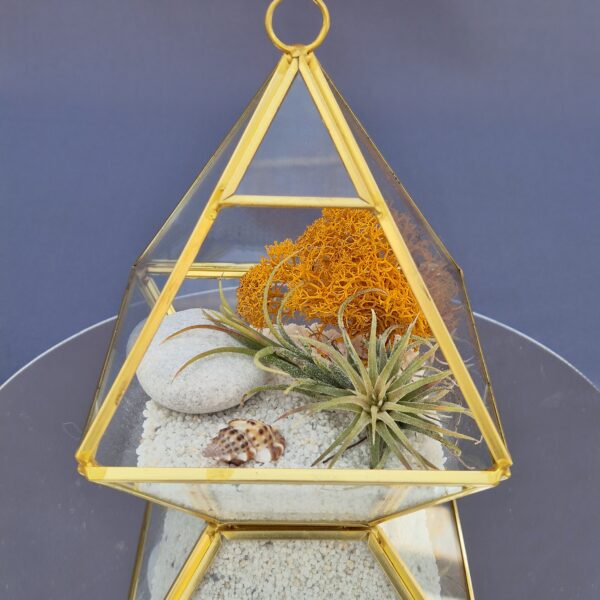 Terrario Pirámide gold 002