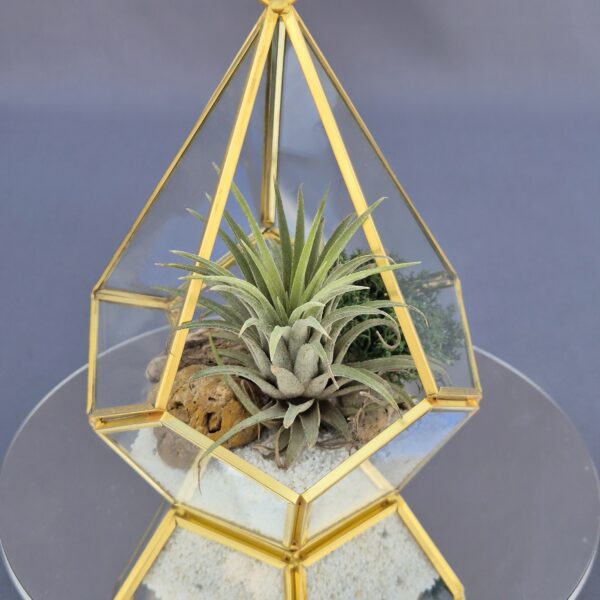 Terrario Geométrico gold 002