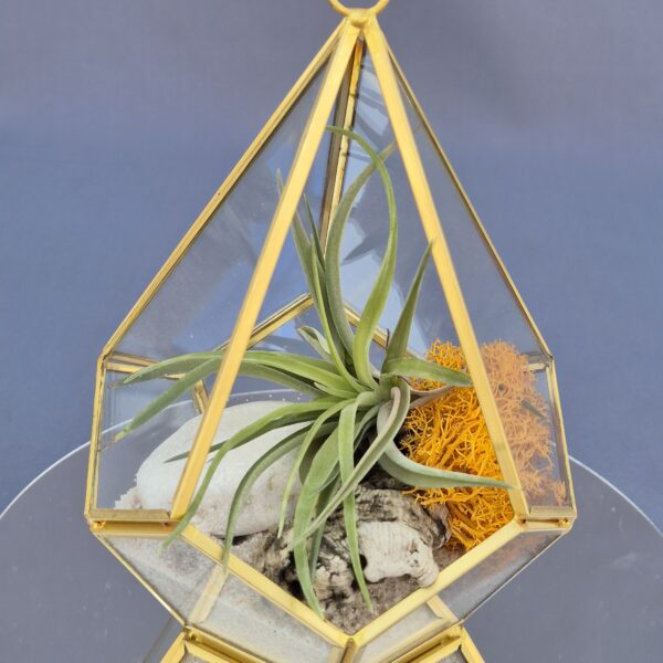 Terrario Geométrico gold
